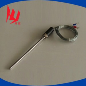 Can nhiệt Pt100 WZP-10
